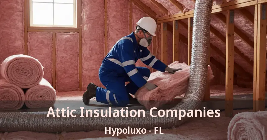 Attic Insulation Companies Hypoluxo - FL Attic Insulation Companies Hypoluxo - FL