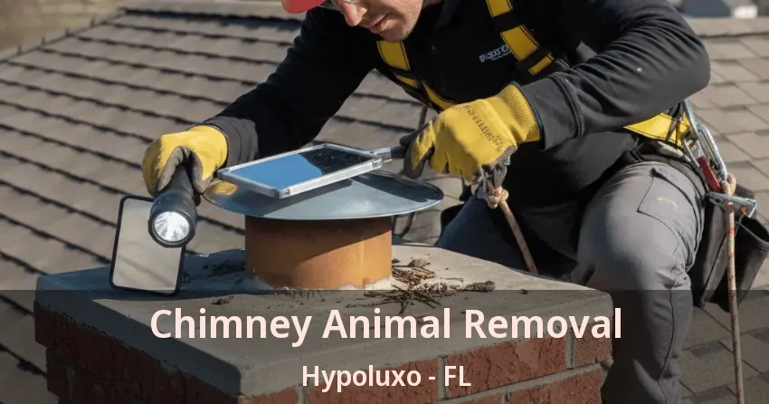 Chimney Animal Removal Hypoluxo - FL