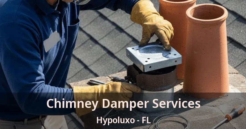 Chimney Damper Services Hypoluxo - FL