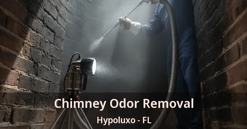 Chimney Odor Removal Hypoluxo - FL