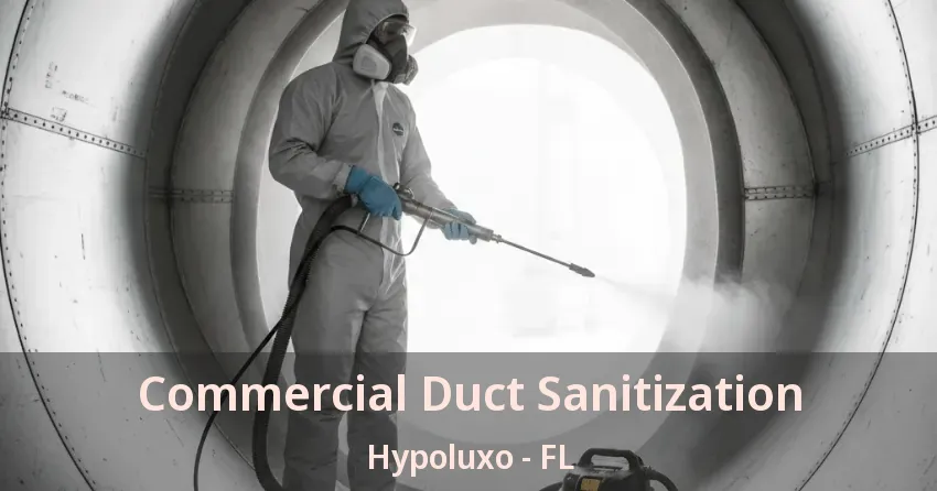 Commercial Duct Sanitization Hypoluxo - FL Commercial Duct Sanitization Hypoluxo - FL