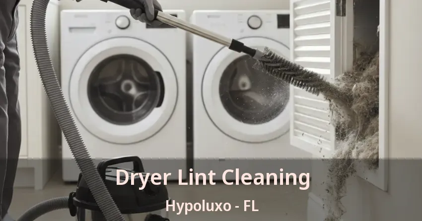 Dryer Lint Cleaning Hypoluxo - FL