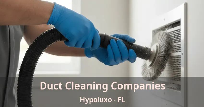 Duct Cleaning Companies Hypoluxo - FL