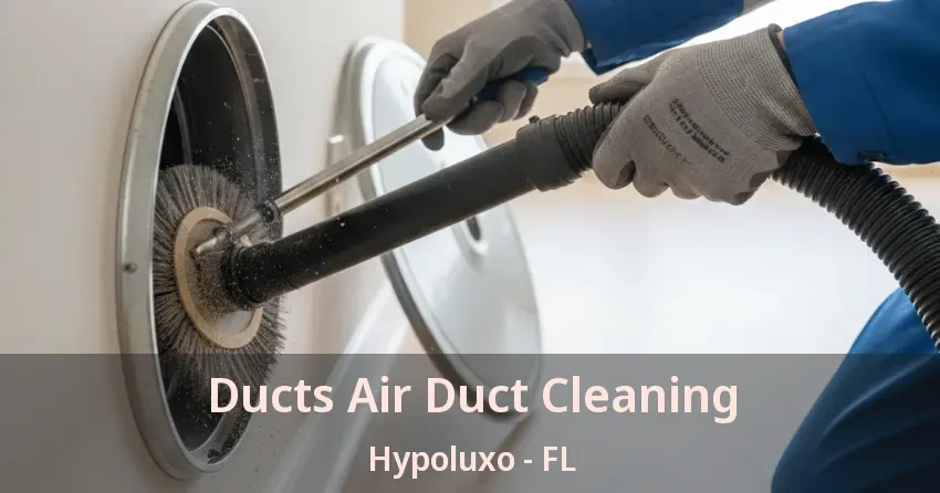 Ducts Air Duct Cleaning Hypoluxo - FL