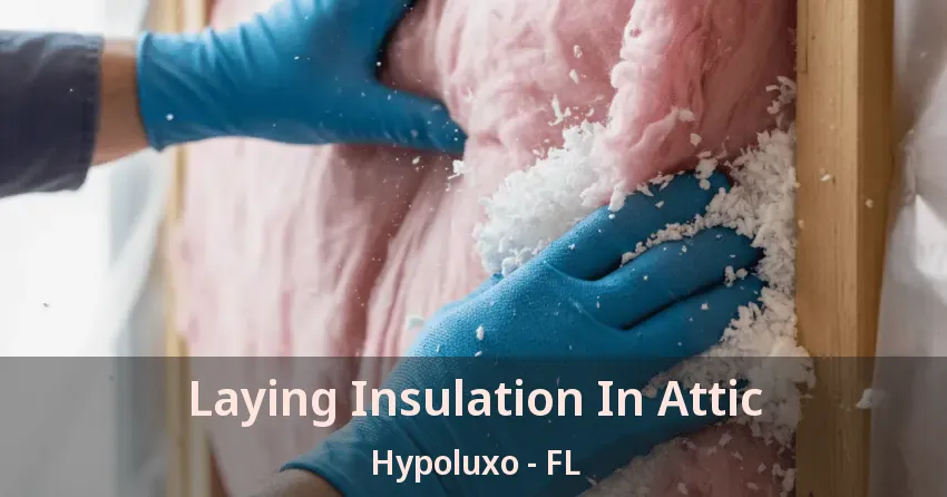 Laying Insulation In Attic Hypoluxo - FL