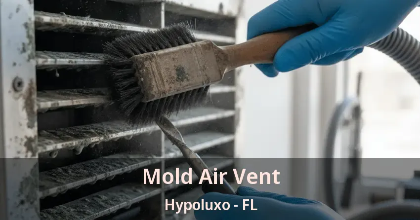 Mold Air Vent Hypoluxo - FL Mold Air Vent Hypoluxo - FL