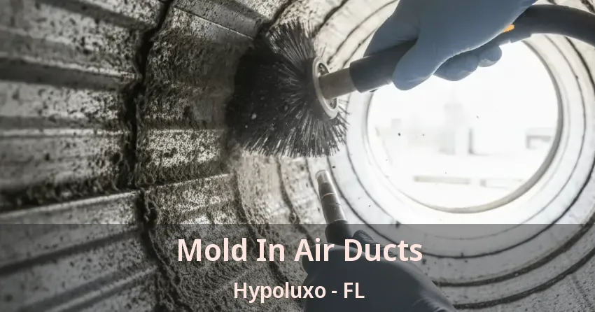 Mold In Air Ducts Hypoluxo - FL