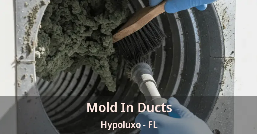 Mold In Ducts Hypoluxo - FL