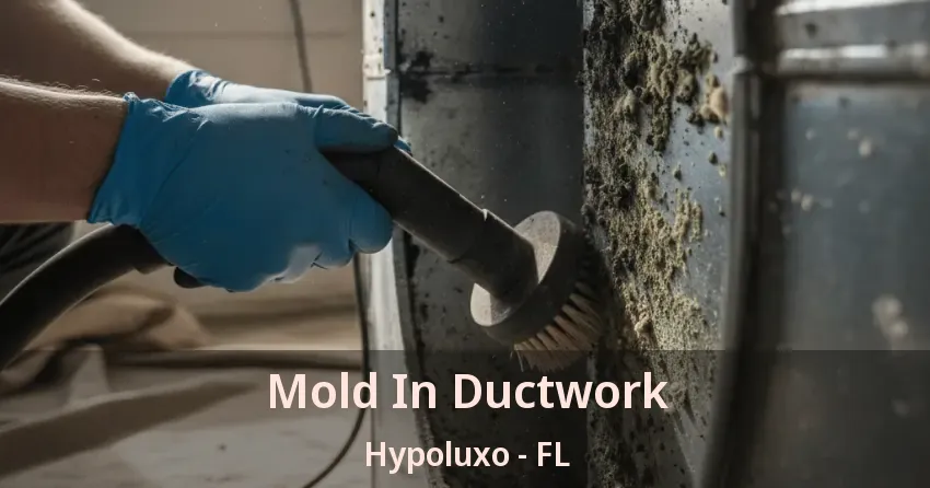 Mold In Ductwork Hypoluxo - FL Mold In Ductwork Hypoluxo - FL