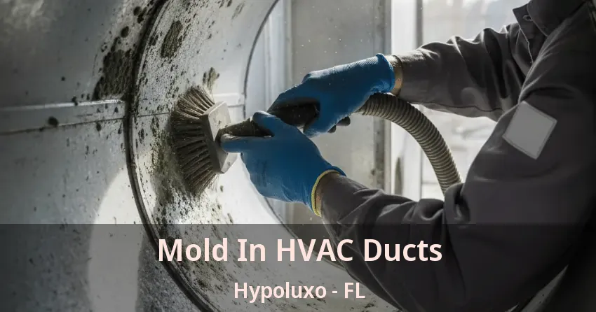 Mold In HVAC Ducts Hypoluxo - FL